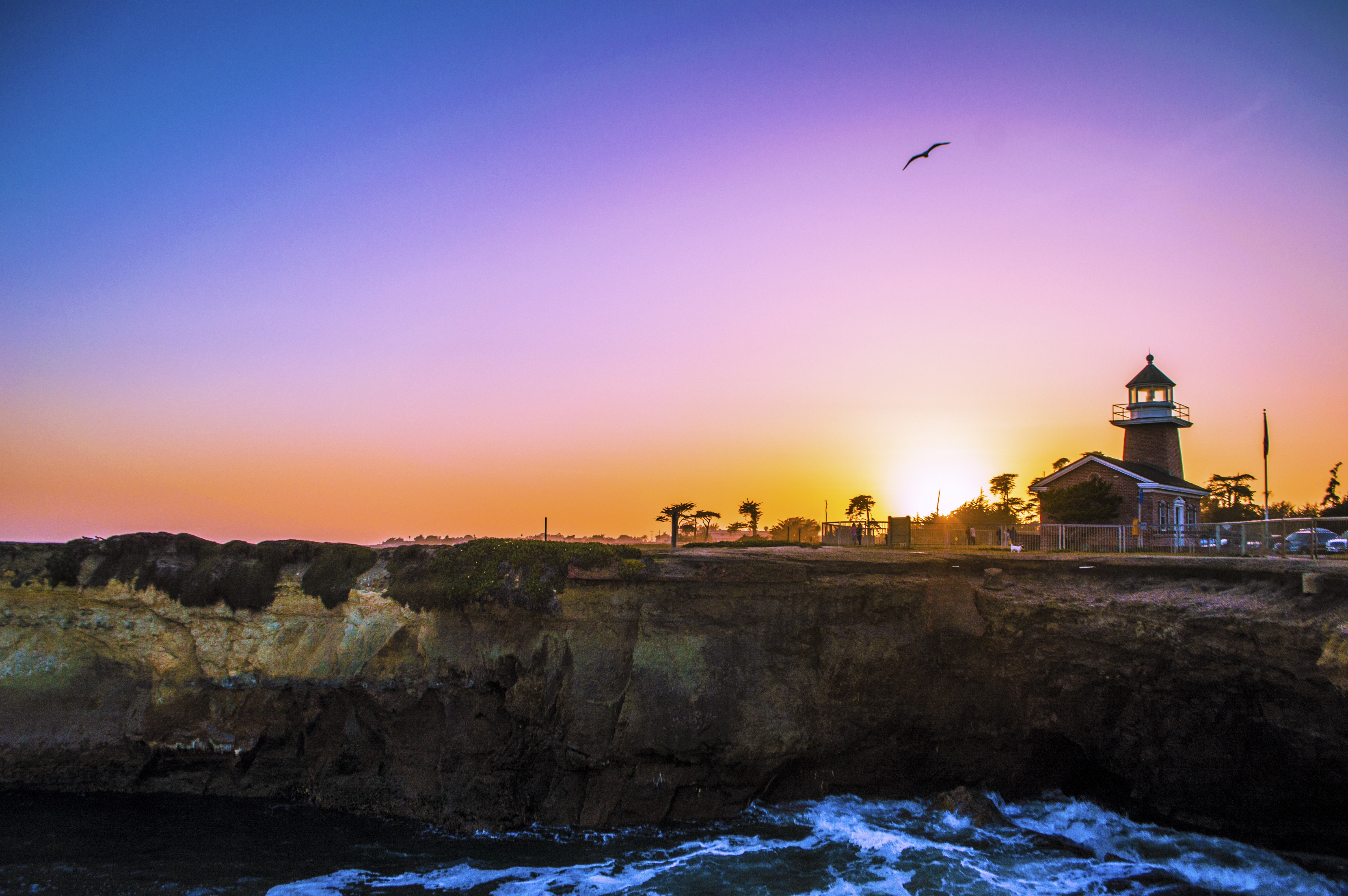 Santa Cruz